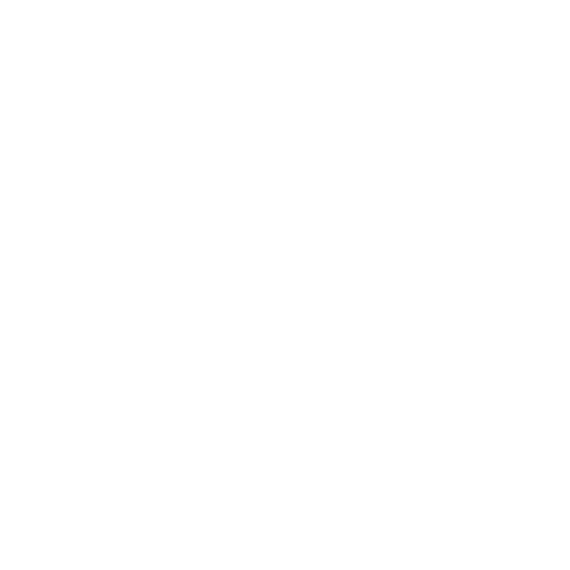 Wiser Esports — W icon