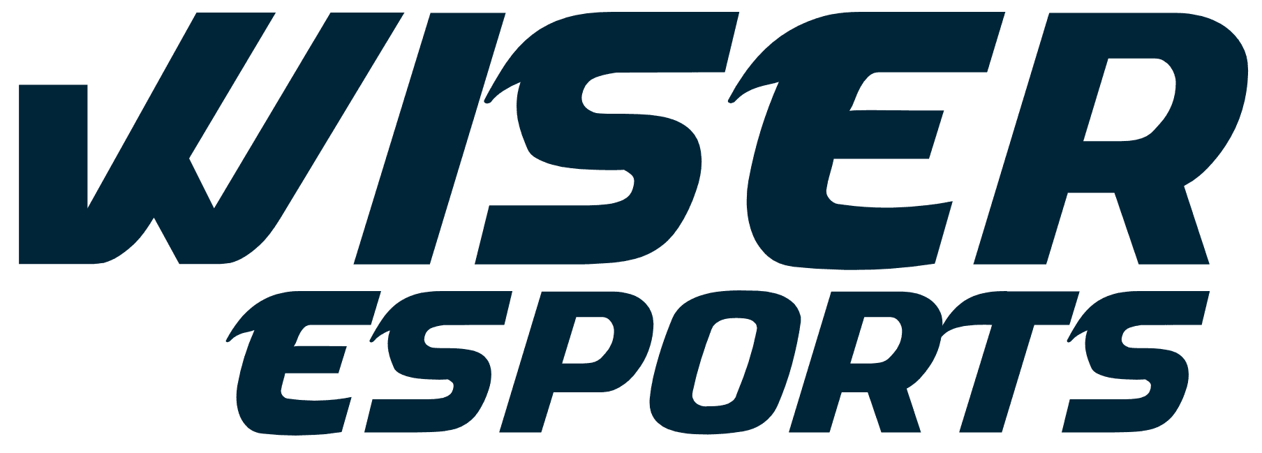 Wiser Esports — primary logo