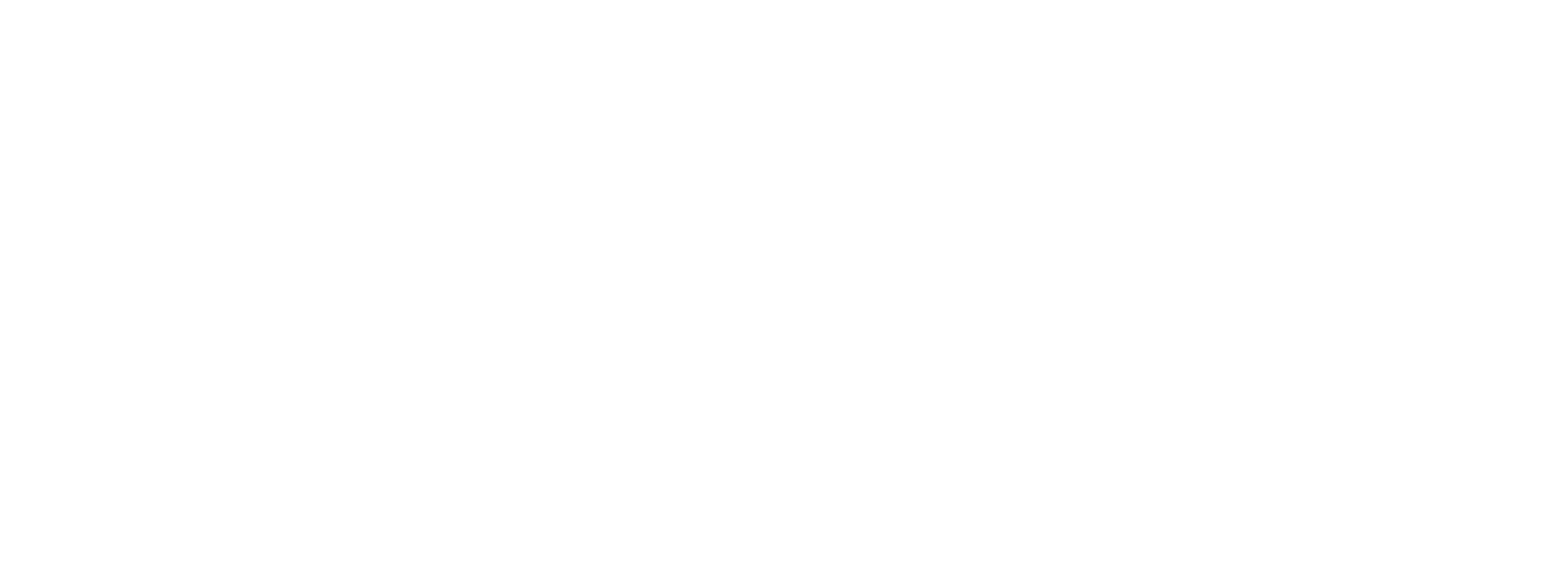Wiser Esports — white logo